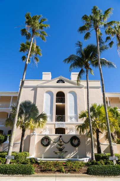 Palm trees in front of the building