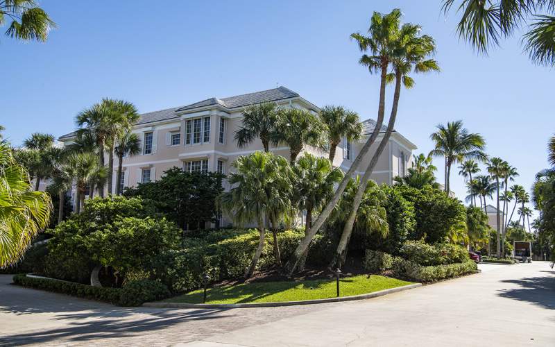 Large buildings with palm trees in front